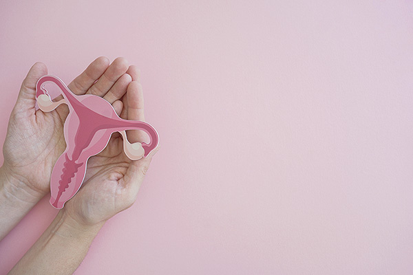 A pair of hands gently holds a model of the female reproductive system, including the ovaries.