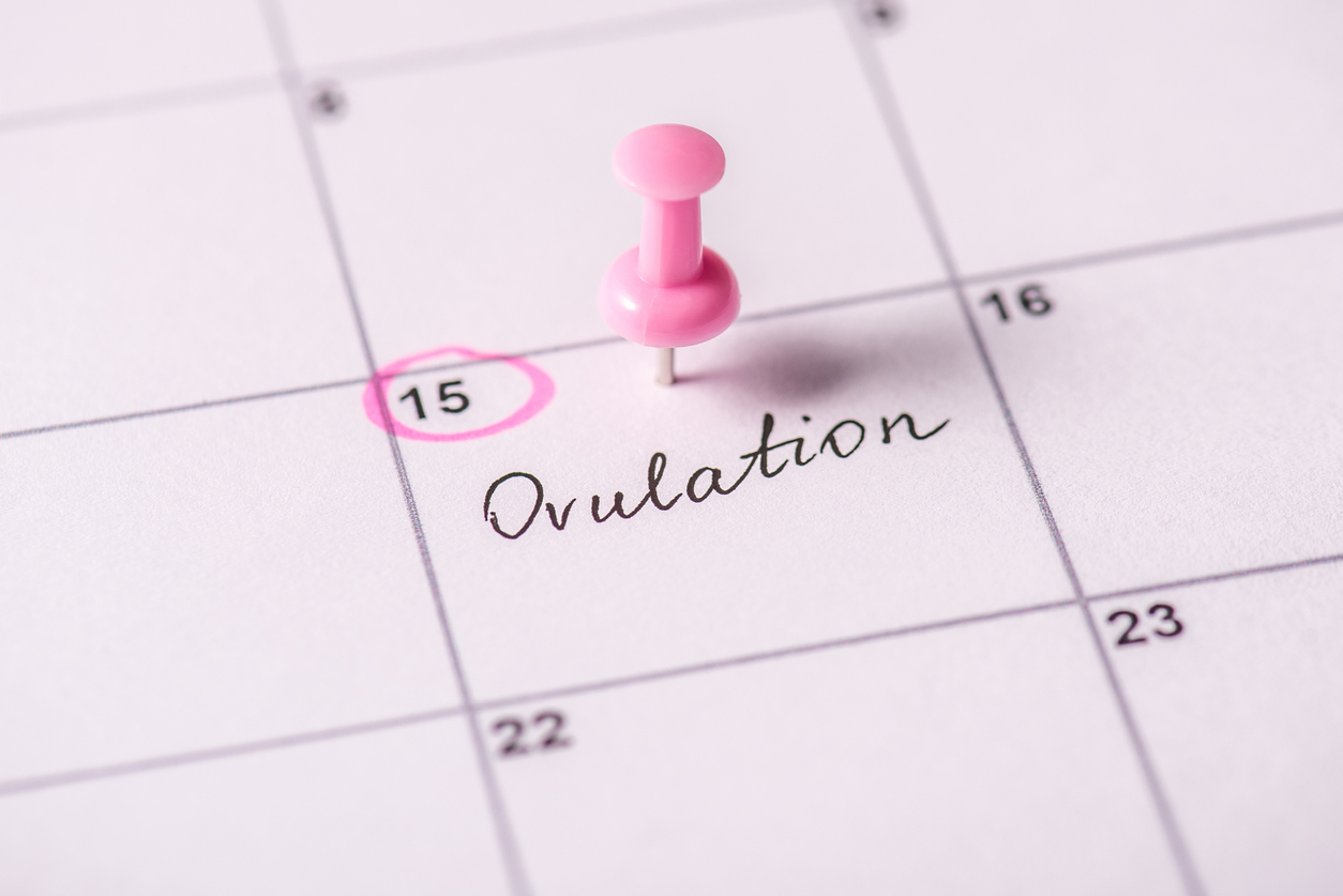 Ovulation calendar