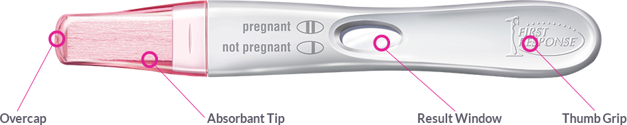 Rapid Result Pregnancy Test