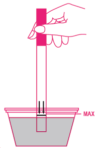 how to dip FIRST RESPONSE™ pregnancy test strip into urine